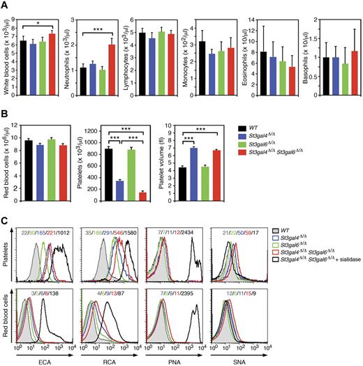 Figure 2. Analysis of peripheral blood cells in St3gal4-deficient, St3gal6-deficient, and double-deficient mice. (A-B) Blood was collected from the tail vein of 8- to 12-week-old mice. Cell counts were carried out using the Hemavet 850FS multispecies hematology system. Values are presented as mean ± SEM (n = 12). ***P < .001; *P < .05. (C) ECA, RCA, PNA, and SNA lectin binding to circulating platelets (CD41+) and RBCs (Ter-119+) was assessed by flow cytometry. Mean fluorescence intensities are indicated in each histogram and data are representative of 3 independent experiments.