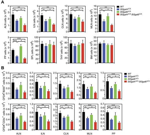 Figure 6. Lymphocyte trafficking in St3gal4-deficient, St3gal6-deficient, and double-deficient mice. (A) ALNs, ILNs, MLNs, PPs, spleen (SPL), thymus (THY), and BM aggregates were isolated from each genotype. Lymphocytes recovered from each organ were quantified manually using a hematocytometer. All values are presented as mean ± SEM (n = 6). ***P < .001; **P < .01; *P < .05. (B) CFDA-labeled lymphocytes (2.5 × 107) obtained from wild-type MLNs were injected into the tail vein of recipient mice of the indicated genotypes. Lymphoid aggregates were harvested 1 hour after injection, and CFDA+ B lymphocytes (B220+) and T lymphocytes (CD3ϵ+) were quantified by flow cytometry. All values are presented as means ± SEM (n = 6). ***P < .001; **P < .01; *P < .05.