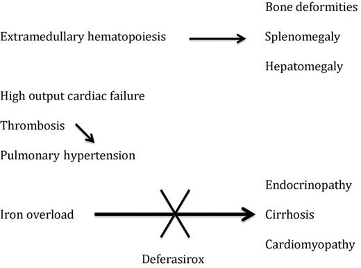 Complications in β-thalassemia intermedia and the potential role of deferasirox.