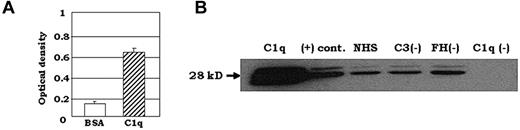 Figure 2. C1q binds to DC-SIGN. (A) C1q was added to DC-SIGN–coated plates and binding was detected using pAb anti-C1q Ab in an antigen-capture ELISA. One representative experiment is shown (n = 3). (B) Normal human serum (NHS; 150 μL) that was C3, factor H (FH), and C1q depleted was incubated overnight at 4°C with 2 μg of biotinylated DC-SIGN and added to neutravidin-coated resin beads for 2 hours at RT. Bead-bound proteins were visualized by Western blotting using pAb C1q, followed by HRP- conjugated secondary Ab. Soluble C1q protein was used instead of human serum as a positive control, shown as “(+) cont.” (n = 2).