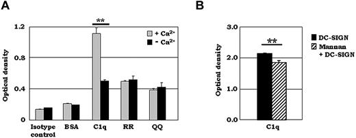 Figure 4. The C1q–DC-SIGN interaction is Ca2+ dependent and reduced by mannan. (A) ELISA experiments were performed using purified, soluble C1q or various synthetic C1q-A peptides (aa 155-164 for RR, aa 155-164 for RR at 162/163 changed to QQ). Then, 2.5 μg/mL of biotinylated DC-SIGN was added to the C1q- or synthetic peptide–coated plates in the presence or absence of 10mM EDTA and binding was detected using streptavidin-AP. One representative experiment is shown (n = 3). (B) Mannan reduced the binding of C1q to DC-SIGN significantly. ELISA experiments were performed using 2.5 μg/mL of biotinylated DC-SIGN premixed with 2 mg/mL of mannan for 15 minutes at RT. DC-SIGN/mannan was added to C1q- or BSA-coated plates and binding was detected using streptavidin-AP. One representative experiment is shown (n = 3). **P < .01.