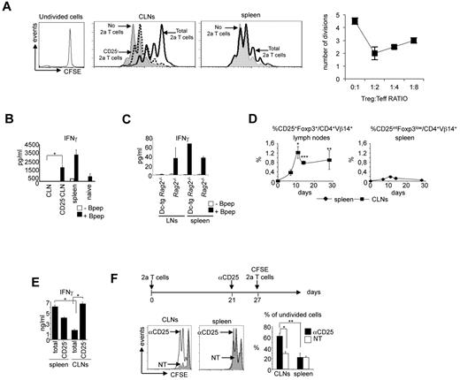 Figure 2. CD25+Foxp3+ 2a T cells generated in CLNs have suppressing activity in vitro and in vivo. (A) CD25+ 2a T cells recovered from CLNs of DC-tg Rag2-deficient mice inhibit mitogen-induced proliferation of polyclonal T cells. CFSE-labeled polyclonal T cells were stimulated with an anti-CD3ϵ monoclonal antibody and syngeneic splenocytes in the presence or not of 2a T cells recovered from spleen or CLNs of DC-tg Rag2-deficient mice 4 weeks after transfer. Polyclonal T-cell proliferation was assessed by flow cytometry 72 hours later. Where indicated, recovered 2a T cells were depleted of the CD25+ population. Left panels: histograms of CFSE-labeled polyclonal T-cell proliferation. Right panel: quantitative analysis of the efficiency of inhibition of naive anti-CD3 stimulated T cells (Teff) cultured at the indicated ratio with CD25+ 2a T cells (Treg). Data are mean ± SD of 3 independent experiments. (B) IFN-γ production by 2a T cells, recovered from CLNs or spleen of DC-tg Rag2-deficient mice 3 weeks after transfer, on in vitro restimulation in the presence of splenocytes loaded or not with the Bpep. Where indicated, 2a T cells recovered from CLNs were depleted of the CD25+ population (CD25−CLN). The activation of naive 2a T cells is also shown. (C) IFN-γ production by polyclonal BALB/c T cells, recovered from CLNs or spleen of Rag2-deficient and DC-tg Rag2-deficient mice 3 weeks after transfer, on in vitro restimulation in the presence of splenocytes loaded or not with the Bpep. (D) Kinetics of CD25+Foxp3+ 2a T-cell generation in CLNs and kinetics of CD25intFoxp3low 2a T-cell generation in the spleen of DC-tg Rag2-deficient mice. (E) IFN-γ production by 2a T cells, recovered from CLNs or spleen of DC-tg Rag2-deficient mice 10 days after transfer, on in vitro restimulation in the presence of splenocytes loaded with the Bpep. Where indicated, 2a T cells recovered from CLNs and spleen were depleted of the CD25+ population (CD25−). (A-C,E) Data are mean ± SEM of 3 independent experiments performed by pooling cells derived from 3 mice per group. (D) Data are mean ± SEM of 3 independent experiments performed using at least 3 mice per group. (F) Top diagram: schematic representation of the adoptive transfer experiment. DC-tg Rag2-deficient mice were first transferred with naive 2a T cells; 3 weeks later, reconstituted mice were either nontreated (NT) or treated with the anti-CD25 blocking antibody, PC61 (labeled as αCD25), and one week later transferred with CFSE-labeled 2a T cells. Bottom left panels: in vivo proliferation of CFSE-labeled 2a T cells measured 48 hours after transfer. Bottom right panel: quantitative analysis of the frequency of undivided cells. Data are mean ± SD of 4 mice analyzed in 2 independent experiments. *P < .05; **P < .01; ***P < .005.