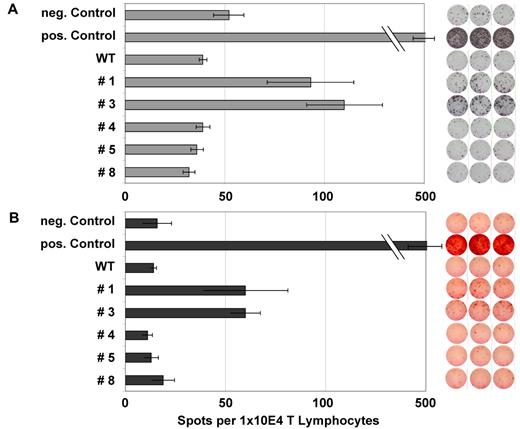 Figure 3. ELISPOT analysis for IFN-γ and granzyme B of several NPM1-derived peptides in an NPM1mut AML patient. ELISPOT assays for the release of IFN γ (A) and granzyme B (B) were performed after stimulation with several NPM1-derived peptides. Stimulation with IMP served as a positive control and no peptide stimulation as a negative control. Peptide-specific T-cell activity was measured by IFN release, whereas granzyme B secretion indicated the lytic potential of the T cells. This patient showed a significant increase in frequency for the epitopes #1 and #3 derived from the mutational region of NPM1.