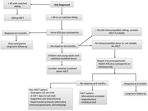 Figure 1. Algorithm for initial management of SAA. In patients who are not candidates for a matched related HSCT, immunosuppression with horse ATG plus cyclosporine should be the initial therapy. We assess for response at 3 and 6 months but usually wait 6 months before deciding on further interventions in case of nonresponders. In patients who are doing poorly clinically with persistent neutrophil count less than 200/μL, we proceed to salvage therapies earlier between 3 and 6 months. Transplant options are reassessed at 6 months, and donor availability, age, comorbidities, and neutrophil count become important considerations. We favor a matched unrelated HSCT in younger patients with a histocompatible donor and repeat immunosuppression for all other patients. In patients with a persistently low neutrophil count in the very severe range, we may consider a matched unrelated donor HSCT in older patients. In patients who remain refractory after 2 cycles of immunosuppression, further management is then individualized taking into consideration suitability for a higher risk HSCT (mismatched unrelated, haploidentical, or umbilical cord donor), age, comorbidities, neutrophil count, and overall clinical status. Some authorities in SAA consider 50 years of age as the cut-off for sibling HSCT as first-line therapy.