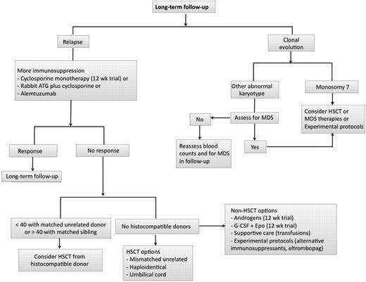 Figure 2. Long-term follow-up after immunosuppression. In patients treated with immunosuppression, we follow for relapse (among responders) and clonal evolution in all patients. A gradual downtrend in blood counts may signify hematologic response, underscoring the important of routine monitoring in this setting. In cases of relapse, we usually reintroduce more immunosuppression in the form of oral cyclosporine and/or a repeat course with rabbit ATG/CsA or alemtuzumab. In those who are unresponsive to more immunosuppression, further management will depend on suitability for HSCT (age, donor availability, comorbidities). When only higher risk HSCT options are available (mismatched unrelated, haploidentical, umbilical cord), we consider nonimmunosuppressive strategies, such as androgens (12-week trial), combination growth factors (G-CSF + Epo for 12 weeks), or experimental therapies. In patients with a very low neutrophil count unresponsive to G-CSF associated with infections, we consider a higher risk HSCT in younger patients. We monitor for clonal evolution by repeated marrow karyotype assessment at 6 and 12 months and then yearly thereafter. After 5 years, we tend to increase the interval between bone marrows. When faced with an abnormal karyotype, such as del13q, trisomy 6, pericentric inversion of chromosome 1;9, del20q, or trisomy 8, we assess for myelodysplasia by looking at blood counts, peripheral smear, and bone marrow morphology. On occasion, these karyotypes may not equate to progression to myelodysplasia and not be detected on repeated marrow examination. In cases where there is worsening blood counts and/or more significant dysplastic changes in the marrow, our approach is to seek transplant options, therapies for myelodysplasia, or a clinical trial. Monosomy 7 is almost never a transient finding and commonly associates to a more rapid progression to myelodysplasia and leukemia. In these cases, our approach is to seek HSCT earlier.