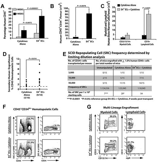 Figure 2. Human CD34+ CBs cocultured with ECs give rise to multilineage engraftment in NSG mice. (A) Percentage of engrafted human CD45+ hematopoietic cells at 3 and 9 weeks after transplantation. (B) Total number of engrafted phenotypically marked human HPCs. (C) Total number of terminally differentiated mature cells per femur. (D) Percentage of human CD45 engraftment in secondary recipients transplanted with human CD45+ hematopoietic cells from primary recipients in panels A through C (N = 10 for each condition; 9 of 10 in the E4+EC group and 5 of 10 in the cytokines-alone group had significant human CD45 engraftment: > 1%). All human cells analyzed with the cell population that was gated on cells that were negative for mouse Ter119 and CD45. (E) A total of 50 000 CD45+CD34+ hCB cells were cultured with or without feeder layers in serum-free conditions and supplemented with 50 ng/mL SCF, 50 ng/mL TPO, and 50 ng/mL Flt3L for 12 days. CD45+CD34+ cells were isolated and transplanted into NSG mice with the corresponding cell doses. Unmanipulated CD45+CD34+ were used as controls. At 3 and 9 weeks after transplantation, mice were analyzed for human CD45+ cells in bone marrow. Mice with > 1% engraftment were considered positive. Mice that were positive at 3 weeks remained positive at 9 weeks, with higher levels of human CD45+ engraftment at 9 weeks. SCID-repopulating cells were determined using L-Calc Version 1.1 software. ***P = .0001. *P = .05. Reference group: E4+ECs + cytokines, analyzed 9 weeks after transplantation. (F) Representative contour plots of human HPC engraftment 9 weeks after transplantation. (G) Representative contour plots of multilineage human hematopoietic cell engraftment 9 weeks after transplantation. Note that human hematopoietic cells cocultured with E4+ECs have greater engraftment potential and give rise to a higher number of multilineage human hematopoietic progenitors and long-term engraftment in secondary recipients. Results were analyzed using the Student t test, and P < .05 was considered significant. Date are mean ± SD.