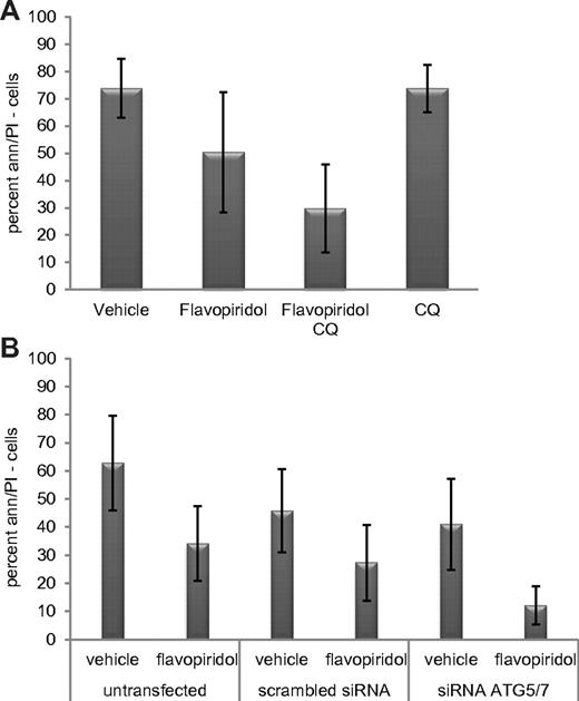 Figure 4. Inhibition of flavopiridol-induced autophagy in CLL cells. (A) Viability of CLL cells (n = 15) treated with flavopiridol and CQ. Live cells are shown by percent of annexin-negative and PI-negative cells at 24 hours. Cells were incubated with flavopiridol for 4 hours; CQ was left on cells for 24 hours continuously. Viability decreased more with flavopiridol plus CQ versus flavopiridol alone (P = .001). (B) Viability in CLL samples (n = 10) untransfected or transfected with scrambled or combination ATG5/7 siRNA and then treated with flavopiridol (2μM) for 4 hours. Treatments began 24 hours after transfection. Percent of cells negative for annexin V and PI was measured 24 hours from flavopiridol treatment (48 hours after transfection). In flavopiridol-treated cells, viability was significantly lower in the presence of combination ATG5/7 siRNA versus the scrambled control (P = .004).