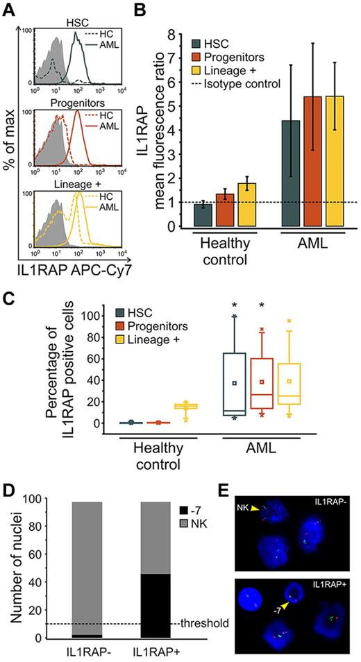 Figure 2. IL1RAP protein is aberrantly expressed on distinct stem and progenitor cell compartments of AML patients with −7/7q−. Detection of IL1RAP expression at the protein level by flow cytometry in bone marrow-derived cells from HCs (n = 5) and AML patients with −7/7q− (n = 8). (A) Representative histograms show the distribution of IL1RAP protein (cell surface) expression (fluorescence intensity) within phenotypically defined cell compartments of HC (dotted line) and AML (solid line) samples measured using IL1RAP antibody. Gray histograms correspond to the isotype control. (B) Ratios of IL1RAP geometric mean fluorescence intensity relative to the isotype control (arbitrary unit = 1, indicated by the dotted line) for HSCs in blue, progenitors in red, and lineage-positive cells in yellow. Error bars represent SD. (C) Box-and-whisker plots represent the percentage of IL1RAP-positive cells in each cellular compartment, phenotypic HSCs in blue, progenitors in red, and lineage-positive cells in yellow, in HC and AML bone marrow. An isotype control was used to define positive expression in each experiment. The central box represents the values from the 25th to 75th percentile. The middle square represents the mean; and horizontal line, median. A line extends from the minimum to the maximum value. Black star indicates significant difference with HC counterparts. (D) FISH of sorted IL1RAP-positive and IL1RAP-negative cells of an AML patient bearing monosomy 7 hybridized with the Vysis LSI D7S486 (7q31) SpectrumOrange/CEP 7 SpectrumGreen Probe. Bar graph represents the number of nuclei with normal karyotype (NK) and monosomy 7 (−7) for each group (n = 100 nuclei analyzed per group). P < .001 (χ2). The scoring threshold is indicated. (E) Representative FISH image. The arrows indicate a NK FISH pattern with 2 individual green (centromere chromosome 7) and 2 orange (7q31) signals per nuclear section (top), and monosomy 7(−7) with 1 green and 1 orange signal (bottom), respectively.