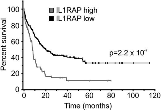 Figure 4. IL1RAP overexpression is associated with poor clinical outcome in AML with normal karyotype. Combined survival analysis of 3 cohorts of AML patients with normal karyotype (n = 317) dichotomized for IL1RAP gene expression levels at the 75th percentile. Overall survival of patients with low and high IL1RAP expression is shown in black and gray, respectively. Statistical significance is indicated.