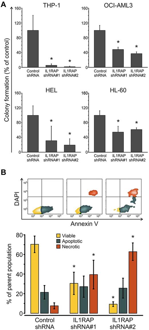 Figure 5. IL1RAP knockdown decreases clonogenic potential and leads to increased cell death of AML cells. (A) Colony formation assays in semisolid methylcellulose media of AML cells (THP-1, OCI-AML3, HEL, and HL-60) infected with control and 2 IL1RAP-directed shRNAs. Data are mean ± SD. *P < .05. (B) Analysis of apoptosis/necrosis with annexin V/DAPI in THP-1 cells infected with control and IL1RAP shRNAs. Top panel: FACS contour plots of 1 representative experiment. Bottom panel: Mean ± SD of 3 independent experiments. *P < .05.