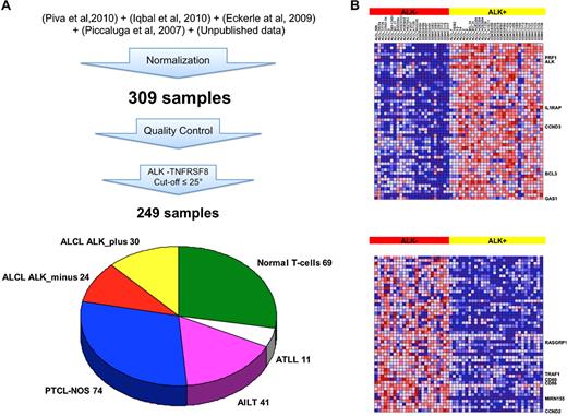 Figure 1. Generation of a large T-NHL gene-expression profiling dataset and transcriptional characterization of ALCL patients. (A) Gene-expression data were extracted from the indicated datasets and normalized with robust multiarray average procedure. Samples classified as outlier on standard quality control analyses were removed from following computations. Expression of TNFRSF8 and/or ALK over the 25th percentile was required to include ALCL cases with higher neoplastic cell content. (B) Heat map of the top 50 genes up-regulated in ALK+ and ALK− ALCL cases (30 ALK+ and 24 ALK−). Each colored cell in the heat map represents the gene-expression value for a probe in a sample. The highest expression values are displayed in red, the lowest values in blue.