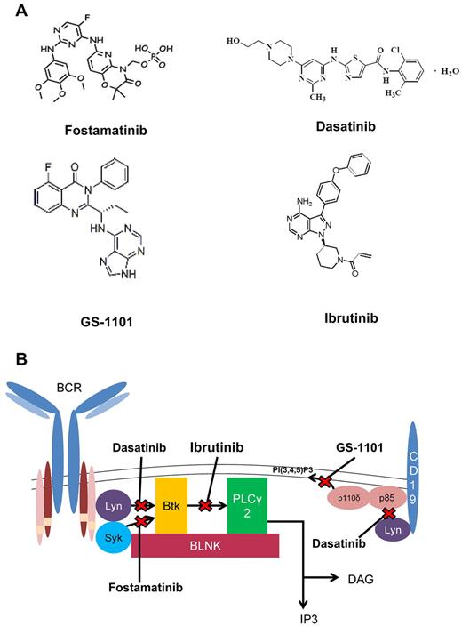 Figure 3. Kinase inhibitors in CLL. (A) Chemical structures of signal kinase inhibitors. (B) Kinase inhibitors and the BCR pathway.