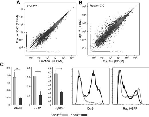 Figure 4. Transcriptome analysis of Fnip1−/− pro-B cells. (A) Scatter plot showing a comparative analysis between Fnip1+/+ transcriptomes (mRNA-Seq FPKM values) obtained from the Hardy pro-B cell fractions B and C-C′. Red dots represent genes whose transcription is statistically different between the 2 fractions; n = 1 (using pooled estimates of dispersion). (B) Same analysis as in panel A but comparing fractions C-C′ between Fnip1+/+ and Fnip1−/− mice; n = 2 for each genotype. (C) Bar graphs showing RT-qPCR measurements of transcription in Fnip1+/+ and Fnip1−/− pro-B cells from selected genes (n = 3). Histograms showing ccr9 and Rag1-GFP expression, as determined by flow cytometry, on B220+IgM−CD25− pro-B cells from KO and control mice. Each FACS analysis is representative of at least 3 independent experiments.