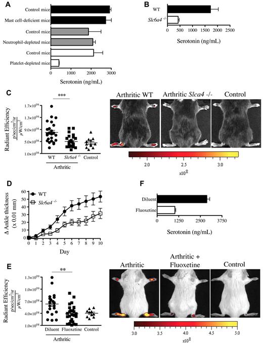 Figure 5. Mice deficient in platelet-derived serotonin have reduced gap formation. (A) Serotonin concentrations were measured in whole blood from mast cell-deficient mice (KitW-sh), neutrophil-depleted mice, platelet-depleted mice, and their corresponding control mice using an ELISA serotonin kit. (B) Serotonin concentration was measured in platelet isolated from WT and Slc6a4−/− mice. (C) WT and Slc6a4−/− arthritic mice were injected intravenously with 0.45-μm-diameter fluorescent microsphere, and the fluorescence was visualized 5 minutes later using an in vivo imaging system. Control mice (WT nonarthritic) and WT and Slc6a4−/− arthritic mice all received the same concentration of fluorescent microspheres. The radiant efficiency quantifications in the ankle joints for all mice are presented, and representative results are presented at right. ***P = .004. (D) Mice (17/group) sufficient and deficient in SERT expression were injected with 125 μL K/BxN serum at day 0 and day 2 and the signs of arthritis monitored daily. The mouse arthritis experiment is presented as mean ± SEM. P < .01. (E) SERT pharmacologic inhibition was performed in C57BL/6J mice by treating the mice with fluoxetine for 21 days before administration of K/BxN serum. Arthritic (treated or not with fluoxetine) and control (nonarthritic) mice were injected intravenously with 0.45-μm-diameter fluorescent microsphere, and the fluorescence was visualized 5 minutes later using an in vivo imaging system. The radiant efficiency quantifications in the ankle joints for all mice are presented, and representative results are presented at right. **P = .0092. (F) Serotonin concentrations in platelets isolated from mice treated or not with fluoxetine were measured by ELISA.