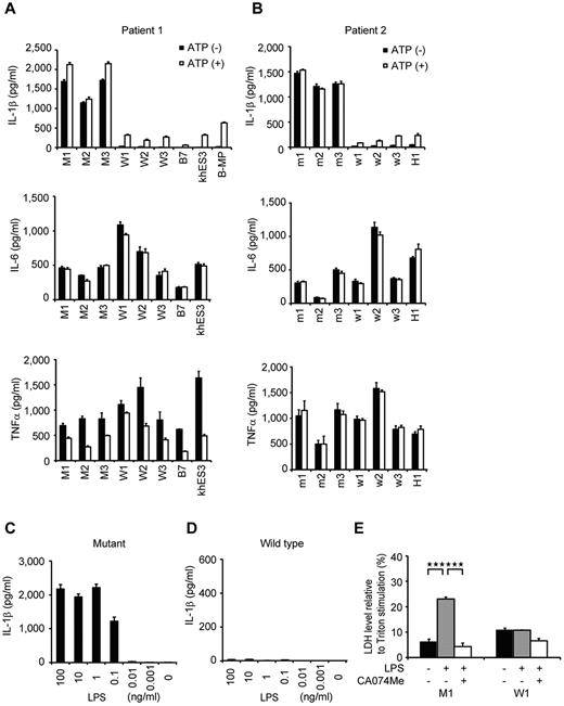 Figure 3. Elucidation of the pathogenesis of somatic mosaic CINCA syndrome. (A) Cytokine secretion from iPS-MPs derived from patient 1. After stimulating iPS-MPs by LPS with or without ATP, we determined the IL-1β (top panel), IL-6 (middle panel), or TNFα (bottom panel) level of the supernatant. n = 3. (B) Cytokine secretion from iPS-MPs derived from patient 2, determined as in panel A. (C) IL-1β secretion from mutant iPS-MPs in the presence of 10-fold dilutions of LPS from 100 ng/mL. n = 3. (D) IL-1β secretion from wild-type iPS-MPs, determined as in panel C. (E) LDH secretion from iPS-MPs stimulated with LPS in the presence or absence of the cathepsin B inhibitor, CA074Me. n = 3. Data are mean ± SEM. ***P < .001 (Student t test).