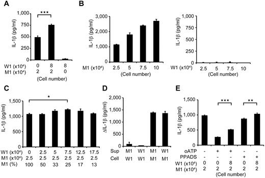 Figure 4. Remodeling mosaicism by coculturing mutant and wild-type iPS-MPs. (A) IL-1β secretion from cocultured iPS-MPs. We used 2 × 104 mutant iPS-MPs (M1) and 8 × 104 wild-type iPS-MPs (W1) as indicated. n = 6. (B) IL-1β secretion from various numbers of mutant (left panel) or wild-type (right panel) iPS-MPs. The iPS-MPs were seeded at the indicated numbers. n = 3. (C) IL-1β secretion from iPS-MPs that were cocultured at various ratios. The wild-type or mutant iPS-MPs were seeded at the numbers indicated in the first and second rows, respectively. The percentage of mutants is indicated in the third row; n = 3. (D) Increase of IL-1β levels during stimulation by the supernatant. The supernatant was harvested from the wells of the indicated iPS-MPs (Sup) and transferred to the wells of other iPS-MPs (Cell); n = 3. (E) IL-1β secretion from cocultured iPS-MPs in the presence of the ATP receptor antagonist, oATP (300μM) or PPADS (300μM). We used 2 × 104 mutant iPS-MPs (M1) and 8 × 104 wild-type iPS-MPs (W1) as indicated. n = 6. Data are mean ± SEM. ***P < .001 (Student t test). **P < .01 (Student t test). *P < .05 (Student t test).