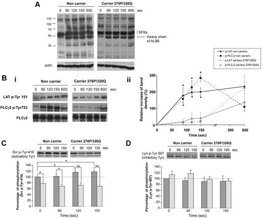 Figure 3. Kinetics of phosphorylation after FcγRIIA-dependent activation. Washed platelets from carriers (n = 3, ▨) and noncarriers of the CD148 276P/326Q alleles (n = 3, ▩) were activated by 2.5 μg/mL ALB6 in the absence of aggregation (tirofoban) and then lysed at 0, 90, 120, or 150 seconds. Platelet lysates were western blotted with an anti–phospho-tyrosine and antiactin (A), or antibodies against LAT p-Tyr 191, PLCγ2 p-Tyr 753, and PLCγ2 (Bi-ii), an anti-Src p-Tyr 146 (C), or an anti-Lyn p-Tyr-507 (D). In panels Bii, C, and D, band intensities were quantified (mean ± SEM; *P < .05 and ** P < .01, t test).