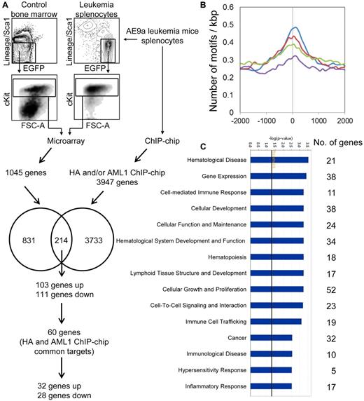 Figure 1. Microarray and ChIP-chip analyses of murine AE9a leukemia cells. (A) Microarray and ChIP-chip analyses of AE9a leukemia cells. The LK cells of AE9a leukemia spleen and wild-type bone marrow from 3 independent sets of mice were sorted by FACS for microarray analysis. The leukemia splenocytes were also subjected to ChIP-chip analysis (HA, AML1, and IgG). The microarray and ChIP-chip (HA and/or AML1) target genes were compared. The numbers in circles indicate the number of microarray-only targets (831), ChIP-chip-only targets (3733), and their common targets (214), from which the 60 HA and AML1 ChIP-chip common targets are considered as top candidates for AE9a direct target genes. (B) AML1 motif (V$AML_Q6 from TRANSFAC database) density curves for the top 1000 HA only peaks (green), top 1000 AML1 only peaks (blue), top 1000 IgG only peaks (purple), and the 781 HA and AML1 overlapped peaks (red; see supplemental Figure 2A). The x-axis shows the distance (in bp) from center of peaks, which is indicated as zero. The y-axis represents the number of motifs per kbp. (C) Top biologic functions of the 214 microarray and ChIP-chip common targets. The numbers to the right represent the number of genes involved in various biologic functions. The −log(P value) axis means the significance of the functions to the dataset.