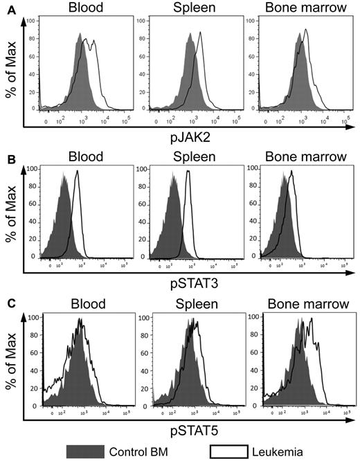 Figure 5. JAK/STAT signaling is enhanced in AE9a leukemia cells. (A) Flow cytometric analyses of phosphorylated JAK2 (pY1007/1008), (B) STAT3 (pY705), and (C) STAT5 (pY694) in the Lin−/cKit+ population of wild-type bone marrow and AE9a leukemia blood, spleen, and bone marrow. Phosphorylated STAT5 was detected after stimulation with cytokines (100 ng/mL Flt3 ligand, 100 ng/mL stem cell factor, 20 ng/mL IL-3, 20 ng/mL IL-6, and 20 ng/mL G-CSF) for 15 minutes. Representative results from 6 wild-type samples and 7 leukemia mice are shown.