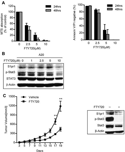 Figure 5. Targeting S1pr1/Stat3 signaling inhibited murine B-cell lymphoma tumor growth in a syngeneic mouse model. (A) Inhibition of S1pr1 induced apoptosis and growth inhibition of the murine B-cell lymphoma A20 cell line in vitro. A20 B-cell lymphoma cells were treated with FTY720 at indicated concentrations. Tumor cell proliferation and apoptosis were examined 24 or 48 hours after treatment. The results represent 3 independent experiments. (B) S1pr1 and phospho-Stat3 levels in A20 tumor cells were determined by Western blot analysis after treating with FTY720 for 6 hours. (C) A20 tumor growth and Stat3 activity were decreased by FTY720 treatment in vivo. Left panel: tumor growth curve showing that FTY720 inhibited A20 tumor growth in vivo; N = 5. **P < .01. Data are representative of 2 independent experiments. Right panel: Western blotting analysis of S1pr1 and phospho-Stat3 protein levels in A20 tumors after FTY720 treatment in vivo. Five tumors were pooled to make protein lysates. Data are representative of 2 independent experiments.