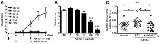 Figure 1. Anti–Gr-1 blocks K/BxN serum transfer arthritis at nondepleting doses. (A) Mice were administered anti–Gr-1 intraperitoneally at various doses, followed by arthritogenic K/BxN serum as indicated. Data derived from 2-5 experiments (n = 7-21 mice/group, all P < .01 vs control by ANOVA). (B) Paw edema scored 30 minutes after injection of K/BxN serum. Neutrophil-dependent edema was suppressed only at high doses of anti–Gr-1. Data are presented from 7-21 mice per condition as described in panel A. Control indicates PBS in 4 experiments. (C) Automated absolute neutrophil counts in blood from unmanipulated mice and mice killed on arthritis day 4. Animals treated twice with 10 μg of anti–Gr-1 exhibited lower neutrophil counts compared with control animals with inflamed joints, but similar numbers to noninflamed mice. *P < .05; ***P < .001.