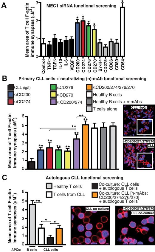 Figure 1. CD200, CD274, CD276, and CD270 mediate F-actin polymerization dysfunction at the T-cell synapse in CLL. (A) Mean synapse area ± SD from 6 healthy donor allogeneic T-cell functional screens with siRNA-treated MEC1 cells, with selected target molecules on the x-axis. CD54 siRNA and nontargeting siRNA (Control) treated cells acted as positive and negative controls, respectively. (B) Mean T-cell F-actin synapse area ± SD from 20 CLL patient cells pretreated with neutralizing Abs (α) before primary coculture with healthy donor allogeneic T cells. T cells were then negatively selected and used in conjugation assays with sAg-pulsed third-party healthy donor allogeneic B cells as APCs. (C) Mean T-cell synapse area ± SD from 6 CLL patient autologous functional screens. T cells from CLL patients were cocultured with autologous CLL cells. T cells were then negatively selected and used in conjugation assays with autologous CLL cells pulsed with sAg as APCs. T-cell/CLL(+sAg) and age-matched healthy donor T-cell/B cell (+sAg) autologous conjugates without primary coculture were included as controls. *P < .05; **P < .01. The confocal images show T-cell/APC conjugates after primary coculture with treated tumor cells. Original magnification, 63×.