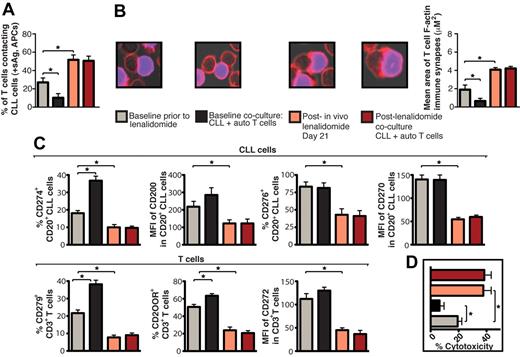 Figure 5. Lenalidomide in vivo treatment enhances patient T-cell F-actin polymerization at the immunologic synapse with autologous tumor APCs, down-regulates expression of CLL cell inhibitory ligands and T-cell inhibitory receptors, and increases autologous CTL effector function. CD19+ CLL cells and T cells (CD3+ and CD8+) were purified from both pretreatment baseline and after lenalidomide treatment (day 21) samples and used in subsequent analysis. These purified cells were also used in paired ex vivo autologous (auto) coculture experiments (48 hours) with subsequent functional and flow cytometric analysis. (A) Quantification of CD3+ T cells in contact with autologous CLL cells (pulsed with sAg acting as APCs) by immunofluorescence. (B) Mean percent T-cell conjugation ± SD from 3 CLL patients. CD3+ T cell–CLL cell (+sAg) conjugates (n = 100 per experiment) were analyzed for the area (μM2) of F-actin polymerization at the synapse contact site. Mean synapse area ± SD from 3 CLL patients. The confocal images show representative T-cell synapses for each treatment. Original magnification, 63×. (C) Purified CLL cells and CD3+ T cells were examined for inhibitory ligand and receptor expression, respectively, by FACS analysis. Columns show the mean MFI or percent positive expression ± SEM from 3 CLL patients. (D) Mean percent CD8+ T-cell cytotoxicity of autologous CLL cells (+sAg) ± SD from 3 CLL patients (effector-to-target ratio, 30:1) comparing pretreatment baseline and after lenalidomide treatment samples. *P < .05.