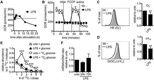 Figure 1. Changes in mitochondrial function in DCs after TLR activation. (A) BM-derived DCs were seeded in a Seahorse XF-24 analyzer, stimulated with LPS, and at the indicated time points OCR was determined. Dashed line represents baseline OCR. Data represent means ± SD of triplicates. One representative experiment of 3 is shown. (B) DCs were seeded in a Seahorse XF-24 analyzer, stimulated with medium as a control or LPS for 24 hours, and real-time OCR was determined during sequential treatments with oligomycin (ATP-synthase inhibitor), FCCP, and antimycin-A/rotenone (ETC inhibitors). Data represent means ± SD of triplicates. One of 6 experiments is shown. (C-D) Twenty-four-hour LPS-stimulated DCs were stained with hydroethidin (HE) to detect O2− production or DiOC6 to determine mitochondrial membrane potential (ΔΨm). A representative histogram is shown and the bar graph represents means ± SD of 3 independent experiments. **P < .01. (E) Twenty-one hours after stimulation with LPS or medium, DCs were fed 13C6-glucose or normal 12C-glucose (both 10mM) for 3 hours. Next, metabolites were isolated from cells by methanol extraction and the 13C content in citrate was quantified by mass spectrometry. Amounts of citrate carrying 1-6 13C are shown relative to levels of citrate harboring no 13C (only 12C). Relative amounts of naturally occurring 13C in citrate when DCs are pulsed with unlabeled glucose are shown in triangles. Data represent means ± SD of triplicates. ***P < .001 compared with naturally occurring 13C in citrate. Data represent means ± SD of triplicates of 1 experiment. (F) mtDNA/nDNA ratio at different time points after LPS stimulation. Data represent means ± SD of 2 independent experiments. ant/rot indicates antimycin-A/rotenone; and oligo, oligomycin.