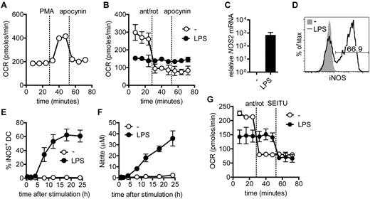 Figure 2. Activation of DCs by LPS drives iNOS expression and NO production. (A) Presence of functional NADPH oxidase in DCs was tested by determining OCR in a Seahorse XF-24 analyzer in response to phorbol 12-myristate 13-acetate to activate the complex, and subsequently to specific NADPH oxidase inhibitor apocynin to block the complex.21 (B) DCs were seeded in a Seahorse XF-24 analyzer, stimulated with LPS or medium for 24 hours, and OCR was determined during sequential treatments with antimycin-A/rotenone (ETC inhibitors) and apocynin. Data represent means ± SD of triplicates. One of 2 experiments is shown. (C) Relative NOS2 mRNA expression was determined in DCs 8 hours after medium or LPS stimulation. Data represent means ± SD of 3 independent experiments. (D) Intracellular iNOS expression in 24-hour LPS-activated (black line) and unstimulated (gray histogram) DCs was determined by FACS. One experiment of 6 is shown. (E) iNOS expression was determined as in panel D at the indicated time points after LPS stimulation. Data represent means ± SD 2 independent experiments. (F) Nitrite levels were determined in culture supernatants at the indicated time points after LPS stimulation. Data represent means ± SD of 2 independent experiments. (G) DCs were seeded in a Seahorse XF-24 analyzer, stimulated with LPS or medium for 24 hours, and real-time OCR was determined during sequential treatments with antimycin-A/rotenone (ETC inhibitors) and the NOS inhibitor SEITU. Data represent means ± SD of triplicates. One of 3 experiments is shown.