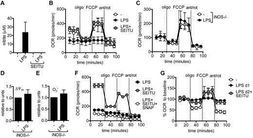 Figure 3. iNOS-derived NO blocks mitochondrial respiration in LPS-stimulated DCs. (A) Nitrite levels were determined in culture supernatants of DCs stimulated with medium or LPS for 24 hours in the presence or absence of specific NOS inhibitor SEITU. Data represent means ± SD of 3 experiments. (B) DCs were seeded in a Seahorse XF-24 analyzer, stimulated with medium or LPS for 24 hours in the presence or absence of SEITU, and real-time basal OCR was determined as well as in response to sequential treatments with oligomycin, FCCP, and antimycin-A/rotenone. Data represent means ± SD of triplicates. One of 3 experiments is shown. (C) iNOS−/− DCs were stimulated with medium or LPS for 24 hours and analyzed as in panel B. Data represent means ± SD of triplicates. One of 3 experiments is shown. (D-E) Twenty-four-hour LPS-stimulated DCs were stained with hydroethidin to detect O2− production or DiOC6 to determine mitochondrial membrane potential (Ψm). Bars represent geoMFI ± SD of 3 experiments and data are plotted relative to unstimulated cells. (F) DCs were stimulated for 24 hours with LPS in the presence or absence of SEITU and the NO donor SNAP as indicated, and analyzed as in panel B. Data represent means ± SD of triplicates. One of 2 experiments is shown. (G) DCs were stimulated with medium, LPS for 24 hours, or LPS for 48 hours, with the last 24 hours in the presence of SEITU, and analyzed as in panel B. Data represent means ± SD of triplicates and are shown as percentage of OCR before drug treatment. One of 2 experiments is shown. ant/rot indicates antimycin-A/rotenone; and oligo, oligomycin.