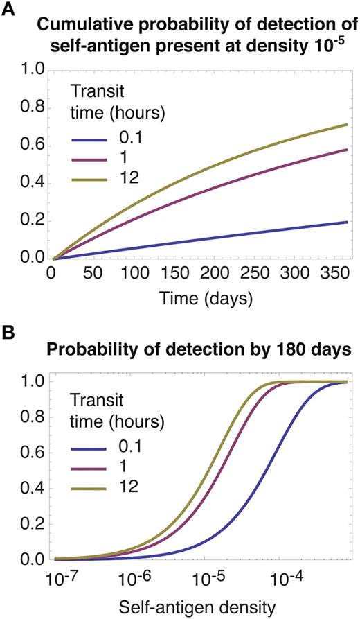Figure 4. Slow transit facilitates the detection of rare self-antigens. The self-pMHC ligands required for survival by a given clone are assumed to be distributed at random across all LNs. (A) Cumulative probability of a single cell encountering a self-antigen present a frequency of 1 in 105, for different transit times. (B) The probability of detection by 180 days as function of self-antigen density. In both panels predictions quickly saturate for transit times longer than 12 hours (not shown).