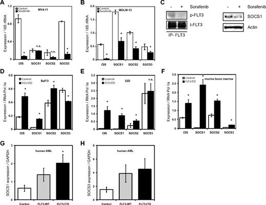 Figure 1. FLT3-ITD induces expression of SOCS family members. (A-B) FLT3 kinase–dependent CIS, SOCS1, SOCS2, and SOCS3 mRNA expression in FLT3-ITD+ AML cell lines. Real-time quantitative PCR analysis of CIS and SOCS1-3 mRNA expression levels in MV4-11 (A) and MOLM-13 (B) cell lines. MV4-11 and MOLM-13 cells were incubated overnight with or without the FLT3 kinase inhibitor sorafenib (20nM) as indicated. Normalized mRNA expression is plotted with SD as error bars. Representative data from 1 of the 2 independent experiments is shown. (C) SOCS1 protein expression depends on FLT3 kinase activity. MOLM-13 cells were incubated overnight, with or without FLT3 kinase inhibitor sorafenib (20nM), and SOCS1 protein levels were determined by Western blot. Actin serves as a loading control. From these lysates, FLT3 was immunoprecipitated and pFLT3 was immunoblotted. (D-F) FLT3-ITD expression led to increased CIS, SOCS1, SOCS2, and SOCS3 mRNA levels in BaF/3 and 32D cell lines and in primary murine bone marrow. Real-time quantitative PCR analysis of mRNA expression levels of CIS and SOCS1-3 expression in BaF/3 (D), 32D (E), and murine bone marrow (F). BaF/3 and 32D cell lines and murine bone marrow were transduced with either empty vector (control) or with FLT3-ITD retrovirus and sorted for GFP. RNA was isolated from cytokine and serum-starved BaF/3 and 32D cells and murine primary bone marrow. The normalized mRNA expression is plotted, with SD as error bars. Representative data from 1 of the 3 independent experiments is shown. (G-H) SOCS1 and SOCS3 mRNA is highly expressed in AML patient bone marrow. Bone marrow samples from a cohort of 77 AML patients (38 of FLT3-ITD and 39 FLT3-WT) and 7 healthy CD34+ donors were analyzed for mRNA expression of SOCS1 (G) and SOCS3 (H). The normalized mRNA expression is plotted, with SD as error bars (*P < .05).