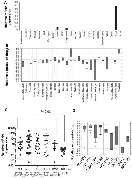 Figure 1. TCL1 mRNA is hyperexpressed in multiple B-cell lymphomas. (A,C) Total RNA was extracted from normal human tissues, normal human peripheral blood B and T cells, and from primary human lymphoma cells; reverse transcribed into cDNA; and then quantitative PCR was performed for TCL1 and β-actin. (A) Expression of TCL1 mRNA relative to β-actin is shown in normal human tissues. (C) Expression of TCL1 mRNA in primary human lymphoma cells is shown relative to TCL1 expression in normal human peripheral blood B cells. Horizontal lines represent the median value for each group. P value on the top of graph represents comparison between normal donor B cells and all lymphomas. P values below the graph represent comparison between normal donor B cells and each lymphoma subtype. All P values were calculated by 2-tailed Student t test. (B,D) Expression of TCL1 mRNA in normal human tissues (B) and different human lymphoma subtypes (D) was determined from publicly available cDNA microarray datasets from the Oncomine database. The number of samples for each tissue type is shown in brackets. CLL indicates chronic lymphocytic leukemia; MCL, mantle cell lymphoma; FL, follicular lymphoma; DLBCL, diffuse large B-cell lymphoma; SMZL, splenic marginal zone B-cell lymphoma; HL, Hodgkin lymphoma; BL, Burkitt lymphoma; MM, multiple myeloma; and HCL, hairy cell leukemia.