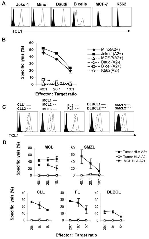Figure 5. TCL165-79 peptide-specific T cells lysed human lymphoma cell lines and primary lymphoma cells. (A,C) Intracellular staining for TCL1 was performed on tumor cell lines and normal donor peripheral blood B cells (A) and primary human lymphoma cells (C). Black histograms represent cells stained with isotype control antibody, and open histograms represent staining with TCL1 antibody. (B,D) CD8+ T cells purified from TCL165-79 peptide-specific T cell lines by magnetic cell separation were incubated with tumor cell lines and normal peripheral blood B cells (B) or primary human lymphoma cells (D). A 4-hour 51Cr-release cytotoxicity assay was performed, and the percentage of specific lysis is shown. The HLA-A2 expression for each of the cell types is shown in the figures. Data in panels B and D are representative of 3 independent experiments.