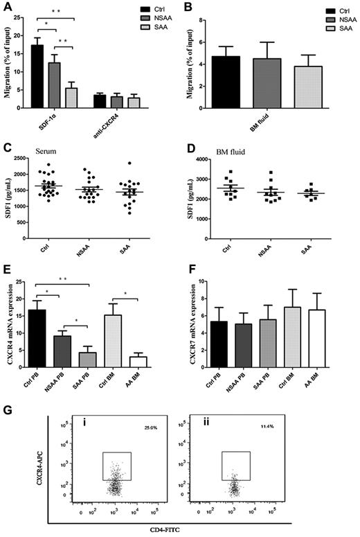 Figure 2. Impaired migratory ability of Tregs was because of lower CXCR4 (but not for CXCR7 expression) in AA. (A) PB Tregs from both NSAA (n = 8, P = .001) and SAA patients (n = 8, P < .001) had less migratory capacity toward SDF-1α compared with those in controls (n = 8). PB Tregs from SAA had less migratory ability than that from NSAA (P < .001). CXCR4 blockade resulted in significant reduced migratory capacity of Tregs in controls, NSAA, and SAA, which were comparable among the 3 groups. (B) Healthy Tregs migrated equally toward BM fluid obtained from NSAA (n = 5), SAA patients (n = 5), and controls (n = 5). (C-D) The levels of SDF-1α both in serum (NSAA, n = 18; SAA, n = 17; controls, n = 22) and BM fluid (NSAA, n = 10; SAA, n = 7; controls, n = 9) detected by ELISA were comparable among the 3 groups. (E-F) The results of quantitative analysis of CXCR4 and CXCR7 mRNA expression showed that a significantly lower expression of CXCR4 on PB Tregs from both NSAA (n = 15, P = .026) and SAA patients (n = 15, P < .001) compared with that of controls (n = 17). Similarly, CXCR4 expression was significantly lower on BM Tregs from AA patients (n = 5) compared with that of controls (n = 7, P = .015). In contrast, there were no significant differences in CXCR7 mRNA expression on PB and BM Tregs among the 3 groups. (G) Representative CXCR4 expressions on the CD4+CD25+ Tregs from a (i) healthy control and a (ii) AA patient. AA patients (n = 6) had significantly lower frequencies of CXCR4-positive cells (P < .001) and lower relative fluorescence intensity (RFI; P = .003), compared with healthy controls (n = 6). *P < .05; **P < .001.