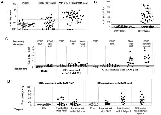Figure 1. WT-1–specific responses of CTLs generated from PBMCs of healthy donors (n = 56) by stimulation with autologous APCs loaded with total pool of WT-1–derived pentadecapeptides. (A) production of IFNγ in PBMCs alone (as a background), PBMCs coincubated overnight with the total pool of pentadecapeptides spanning the whole sequence of WT-1 protein (PBMC + WT-1 pool), and pregenerated WT-1–specific T cells coincubated overnight with WT-1 peptide–loaded PBMCs. (B) Cytotoxic activity of the WT-1–specific CTLs generated in vitro by stimulation with WT-1 total pool against WT-1− (autologous PHA-stimulated blasts) and WT-1+ (autologous PHA-stimulated blasts loaded with the total pool of WT-1 pentadecapeptides) targets at a 50:1 effector: stimulator ratio. (C) IFNγ response measured by FACS staining in different responder cell populations (PBMCs, pregenerated CTLs sensitized in vitro with the RMF peptide loaded on autologous CAM and pregenerated CTLs sensitized with the total pool of WT-1 15-mers) after secondary overnight stimulation with autologous PBMCs either unmodified or loaded with one of the following: RMF peptide, dominant epitopes of WT-1 identified by the epitope-mapping approach in the WT-1–total pool sensitized CTLs, or the WT-1 total pool of the 141 pentadecapeptides. (D) Cytotoxic activity of the WT-1–specific T cells generated in vitro by sensitization with autologous CAMs loaded with the RMF 9-mer or with the total pool of the WT-1 15-mers. The cytotoxicity of the T cells was assessed against autologous WT-1− targets (PHA-activated blasts) and the same targets loaded with RMF peptide, the total pool of WT-1 15-mers, or the dominant WT-1 epitope identified for the same T-cell line.