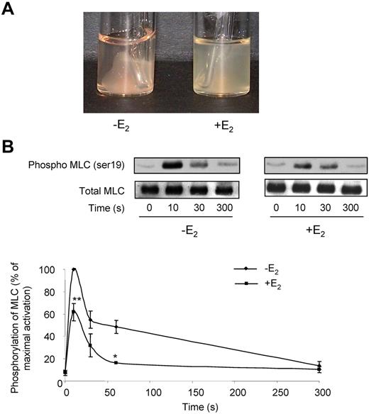 Figure 2. Defects in fibrin clot retraction and MLC phosphorylation in E2-treated mice. (A) Fibrin clot retraction assays were performed in PRP adjusted to 3 × 108 platelets/mL and treated with both thrombin (2 IU/mL) and atroxin (0.1 μg/mL). Photographs shown are representative of 4 independent experiments. (B) Impact of E2 treatment on MLC phosphorylation over time. Platelets from mice treated or not with E2 were stimulated by 0.3 IU/mL thrombin for the indicated time and probed by immunoblotting with an anti-phospho-MLC Ab (ser 19) or a total MLC Ab. Phosphorylation levels were estimated by densitometry analysis of Western blots, and the results are expressed as percentages of maximum phosphorylation (10 seconds stimulation of control mice) and are mean ± SEM of 4 independent experiments. Significant difference **P < .01, *P < .05, according to a Student t test.