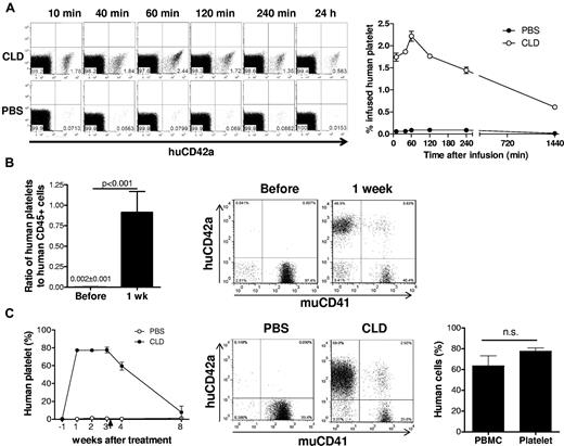Figure 2. Full restoration of human platelets in humanized mice after mouse macrophage depletion. (A) Human platelets (1.5 × 107) were intravenously injected into macrophage-depleted (CLD; n = 3) or control (PBS; n = 3) NSG mice. Blood was collected at the indicated time points and the percentages of injected human platelets were analyzed by flow cytometry. Shown are representative flow cytometric profiles (left) and kinetic levels (mean ± SEM; right) of huCD42a+ human platelets at the indicated time points after platelet transfusion. Macrophage depletion was performed by intravenous injection of clodronate-liposomes (CLD) at day 3 (100 μL) and day 1 (50 μL) with respect to human platelet injection (day 0); control mice were treated with PBS-liposomes at same volumes and schedule. (B) Blood was collected from 12-week humanized NOD/SCID mice (n = 5) before (Before) and 1 week after (1 week) injection of clodronate-liposomes, and the levels of human CD42a+ platelet and human CD45+ PBMC chimerism were determined by flow cytometry. Shown are ratios (mean ± SEM) of human CD42a+ platelet chimerism to CD45+ PBMC chimerism (left) and flow cytometry profiles showing human platelet chimerism (right) before and 1 week after treatment with CLD. (C) Thirteen-week humanized NOD/SCID mice were treated with CLD (n = 4) or PBS-liposomes (n = 3; 100 μL at days 0, 2, 7, 12, 17, and 22). Blood was collected 1 week before and at several time points after treatment, and the levels of human platelets and human PBMCs were determined by flow cytometry. Shown are levels (mean ± SEMs) of human platelet chimerism at the indicated times (left), representative flow cytometry profiles at week 3 after treatment (middle), and percentages (mean ± SEM) of human platelet versus CD45+ PBMC chimerism at week 3 after treatment (right). NS indicates not significant.