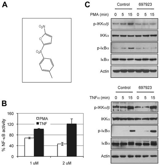 Figure 1. Compound NSC697923 inhibits NF-κB activation induced by PMA, but not by TNFα. (A) The chemical structure of NSC697923. (B) 293T–NF-luc cells were pretreated with the indicated concentrations of NSC697923 or DMSO (final concentration 0.2%; control) for 1 hour. The cells were then stimulated with PMA (100 ng/mL) or TNFα (10 ng/mL) for 6 hours, and the green fluorescence (from GFP for normalization) and luciferase activity in the cell lysate were measured. Data are expressed as the percentage activity of the control (mean ± SD; n = 3). (C) 293T–NF-Luc cells were pretreated with 1μM NSC697923 for 1 hour before being stimulated with PMA or TNFα as indicated. The cells were harvested at the indicated times after stimulation, and phosphorylation of IKK and IκBα were analyzed by Western blotting. Analysis of actin was used as the loading control.