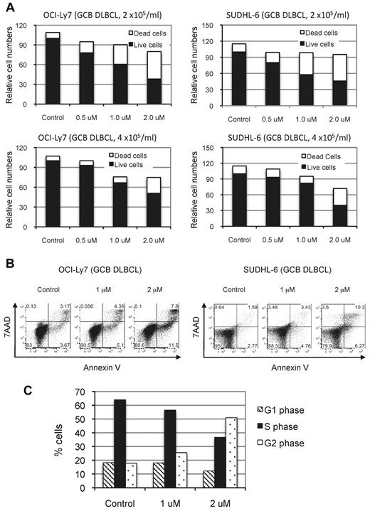 Figure 6. NSC697923 inhibits the proliferation and survival of GCB-DLBCL cells. (A) GCB-DLBCL cells were plated at the indicated cell concentrations and treated with various concentrations of NSC697923 for 24 hours. The effects of NSC697923 on the growth of these cells were analyzed as described in Figure 5C. (B) The cells were plated at a concentration of 4 × 105 cells/mL and treated with NSC697923 as in panel A and the apoptotic cells were analyzed as described in Figure 5E. (C) Cell-cycle distribution of OCI-Ly7 cells treated with the indicated concentrations of NSC697923 for 24 hours. Shown are the average results from 2 independent experiments.