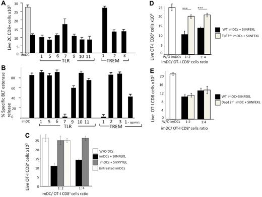 Figure 6. MHC-dependent perforin/granzyme A–mediated killing of cognate CD8+ T cells in MLR is associated with triggering of TLR7/8 and TREM-1. (A) CD8+ 2C cells stained with calcein AM green were mixed with L-NAME–pretreated CB6/F1 imDCs. imDCs were also pretreated with blocking peptides for indicated TLRs, competitive peptide for TREM-1 or TREM-2 (50 ng/mL), or neutralizing Ab for TREM-3 (100 ng/mL). After an incubation of 5 hours, the total number of stained 2C CD8+ T cells in the absence (gray) or presence of imDCs at cell ratio of 1:4 (black) was evaluated by FACS analysis. (B) After incubation as described in panel A, the percentage of specific BLT esterase release was calculated as described in the Methods. In parallel, imDCs were cultured with TREM-1 agonist Ab for 5 hours without 2C CD8+ cells, after which time the supernatant was measured for specific BLT esterase release (TREM-1 agonist). (C) FACS evaluation of total numbers of live OT-I CD8+ T cells in the absence (white) or presence of untreated imDCs (light gray) or imDCs treated with SIINFEKL (black) or SIYRYYGL (gray) at the indicated cell ratios (1:2 and 1:4). (D) Killing ability of imDCs from C57BL/6 wild-type or TLR7−/− mice loaded with SIINFEKL. (E) Killing ability of imDCs from C57BL/6 wild-type or Dap12−/− mice loaded with SIINFEKL. Shown are averages ± SD (n ≥ 3).