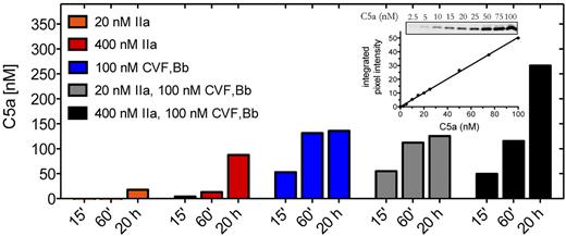Figure 1. C5a generation by thrombin and C5 convertase. Reactions containing C5 (400nM) were incubated with thrombin (IIa) (20nM or 400nM) or C5 convertase (CVF,Bb; 100nM) alone or in combination in HBS-M7, pH 7.4, for 15 minutes, 60 minutes, or 20 hours at 37°C. Reactions were subjected to 15% Tris-tricine SDS-PAGE under reducing conditions. C5a was detected by Western blotting using a polyclonal rabbit antibody against C5a. Results are representative of 3 independent experiments, each with similar results. Inset: C5a in-gel standards from Western blot and corresponding standard curve.