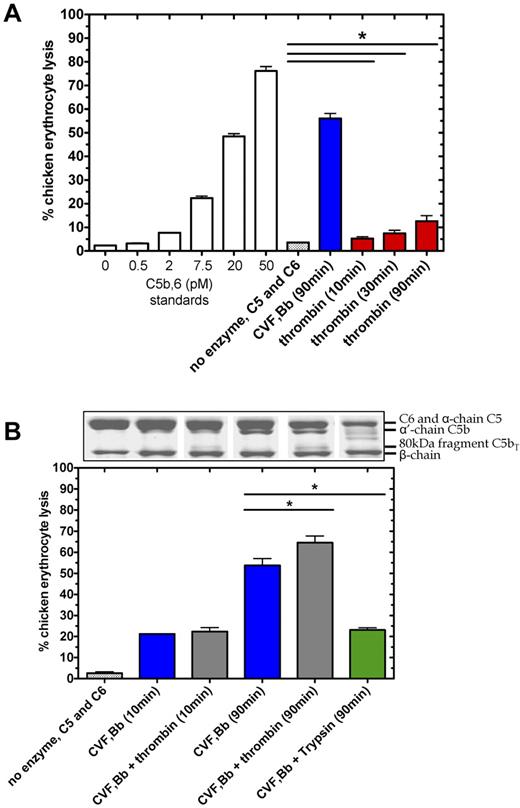 Figure 5. Thrombin-mediated hemolytic activity as modulated by C5 convertase. (A) Thrombin-mediated hemolytic activity was compared with C5 convertase hemolytic activity. In the terminal pathway assay, a standard curve was generated by measuring lysis of chicken erythrocytes after addition of a range of concentrations of purified C5b,6 and excess C7, C8, and C9. Percent lysis is expressed relative to 100% lysis in H2O. To measure enzyme-induced hemolysis, reactions containing C5 (400nM) and C6 (600nM) incubated alone, with C5 convertase (CVF,Bb; 100nM) or with thrombin (400nM), were diluted 2000-fold, 8000-fold, and 2000-fold, respectively, to measure hemolytic activity in the terminal pathway assay. (B) Thrombin-mediated hemolytic activity in the presence of C5 convertase was measured. The ability of thrombin to augment C5 convertase hemolytic activity was assessed in reactions as noted above but with a lower concentration of thrombin (20nM) and in the presence or absence of C5 convertase (CVF,Bb; 100nM) or trypsin (20nM). Reactions were either subjected to SDS-PAGE or diluted 160 000-fold for the terminal pathway hemolytic assay. Data are mean ± SD; n = 3. *P < .05.