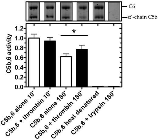 Figure 6. Thrombin enhances hemolytic activity of C5b,6 in serum-based assay. C5b,6 (200nM) was incubated alone or with either thrombin (500nM) or trypsin (500nM; as control) at 37°C for the indicated times. At the indicated time, an aliquot was prepared for SDS-PAGE analysis or diluted (2000-fold) to quantify residual C5b,6 activity using the serum-based hemolytic assay. C5b,6 alone (after 10 minutes of incubation) resulted in 23.8% ± 2.7% lysis and was arbitrarily given an activity of 1.0. Heat-denatured C5b,6 (10 minutes at 95°C) is shown as an additional control. Data are mean ± SD of 3 independent experiments each performed in quadruplicate. *P < .05.