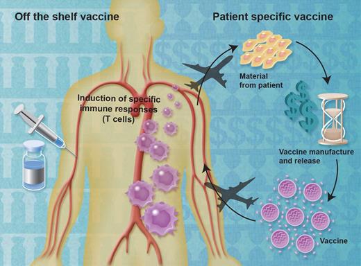 Patient-specific therapeutic vaccines are generated from immune cells or tumor material obtained from cancer patients. This process is resource-intensive, but has yielded therapeutic vaccines with clinical benefit. In contrast, large numbers of doses of off-the-shelf vaccines can be manufactured at one time, then stored until needed. In theory, off-the-shelf vaccines should be cheaper to manufacture while simplifying time and supply lines. Professional illustration by Alice Y. Chen.