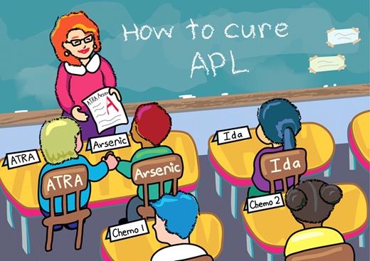 The combination of ATRA and arsenic with varying amounts of chemotherapy has been studied in newly diagnosed APL patients. Iland et al report one of the best outcomes observed in APL studies using ATRA plus arsenic during induction and consolidation with 4 doses of idarubicin in induction only. Professional illustration by Noel Sirivansanti/Xavier Studio.