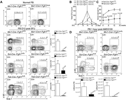 Figure 6. FGFR1 inactivation impairs HSPC mobilization induced by BM damage. (A). Flow cytometric analyses of the LSK population in PB and/or comparison of absolute numbers of LSKs/mL in PB between Mx1:Control, Mx1:CKO at homeostasis and Mx1:Control, Mx1:CKO (n = 4), Scl:Control, Scl:CKO (n = 3), Tek:Control, Tek:CKO (n = 4) mice 12 days after 5FU. (B) Comparison of total CFUs from PB of Mx1:Control, Mx1:CKO, mice at 14 days after 5FU (n = 4). (C) PB mononuclear cells 6 × 105) from Tek:Control, Tek:CKO mice (CD45.2) transplanted 12 days after 5FU together with 2 × 105 rescue BM cells (CD45.1) into lethally irradiated Ptprc recipients PB analysis for total engrafted donor cells at 4, 8, 12, and 16 weeks posttransplantation (n = 5). (D) Flow cytometric analyses of the LSK population in PB and comparison of absolute numbers of LSKs/mL PB between of Mx1:Control, Mx1:CKO, Scl:Control, and Scl:CKO mice at 1 hour after AMD3100 treatment (n = 3).