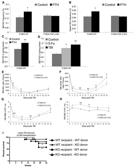 Figure 1. FGF-2 is required for HSPC expansion under stress-induced conditions, but not during steady-state conditions. FVB/N WT or FGF-2 KO mice were treated with either vehicle or PTH (n > 8). (A-B) Percentage of BM or spleen SKL cells as determined by flow cytometry. (C) FGF-2 protein levels as determined by ELISA in the BM supernatants of WT mice after PTH treatment. (D) FGF-2 protein levels as determined by ELISA in the BM supernatants of WT mice after irradiation or 5-FU treatments (n > 6). FVB/N WT or FGF-2 KO mice were treated with single dose of sublethal irradiation and killed at the indicated time points (n > 4). (E-F) Numbers of BM SKL and BM CD34− SKL per femur of FVB/N WT or FGF-2 KO mice as determined by flow cytometry. (G-H) Numbers of peripheral WBC counts and peripheral RBC counts of FVB/N WT or FGF-2 KO mice. (I) Survival curve for FVB/N WT or FGF-2 KO mice treated once with a lethal dose of TBI followed by transplantation with minimal dose of 5 × 104 BM cells from either WT or FGF-2 KO mice (n > 12). *P < .05; **P < .01. Data shown are means ± SEM.