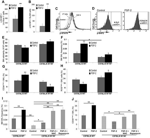 Figure 4. HSPC expansion and increased LTR-HSC capacity is dependent on c-Kit up-regulation and activation by FGF-2. C57BL/6 mice were treated with PBS or FGF-2 (n > 7). (A) c-Kit expression on Lin−/Sca-1+ cells was determined by flow cytometry. (B) c-Kit expression on SLAM cells was determined by flow cytometry. (C) Representative flow cytometric analysis of p-STAT5 levels in SKL cells. (D) Representative flow cytometric analysis of p-SHP2 levels in SKL cells. Numbers indicate the percentage of p-SHP2high–expressing SKL cells. C57BL/6 WT or Wv/Wv mice were treated with either PBS or FGF-2 (n = 4). (E) BM cellularity per femur and tibia. (F) Percentage of BM SKL cells as determined by flow cytometry. (G) Percentage of BM CD34−/SKL as determined by flow cytometry. (H) Percentage of SKL-expressing ROShigh cells as determined by flow cytometry. C57BL/6 WT or Wv/Wv mice were treated with either PBS or FGF-2 or FGF-2 combined with N-acetyl-cysteine (NAC)/rapamycin (n = 4). (I) Percentage of BM SKL cells as determined by flow cytometry. (J) Percentage of BM CD34−/SKL as determined by flow cytometry. *P < .05; **P < .01. Data shown are means ± SEM.
