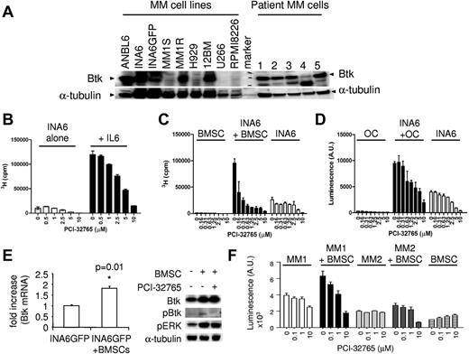 Figure 4. PCI-32765 induces cytotoxicity against Btk-expressing MM cells stimulated by IL-6 or coculture with BMSCs or OCs. (A) Immunoblotting analysis showed Btk expression in CD138+ MM cell lines and patient MM cells (n = 5). (B) INA6 cells, with or without IL-6 (B) or BMSCs (C) or OC (D), prepared from MM patients were cultured with PCI-32765. (E) INA6-GFP cells were cocultured with (+) or without (−) BMSCs overnight, sorted by FACS, and subjected to mRNA and protein extraction for Btk levels by quantitative RT-PCR and immunoblotting. (F) PCI-32765 was added for 3 days to CD138+ cells from 2 representative MM patients, alone or with BMSCs, followed by a luminescent cell viability assay.
